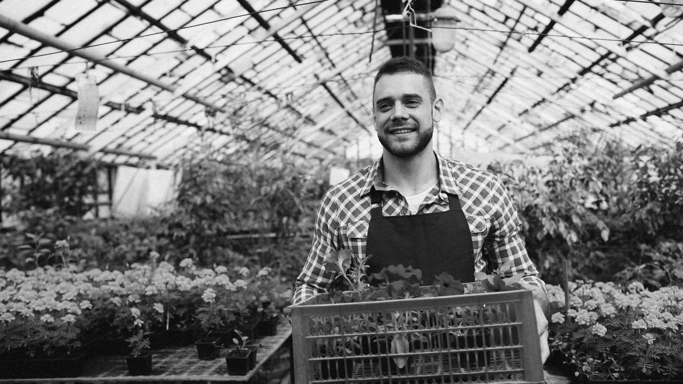 A garden center owner holding a crate of flowers